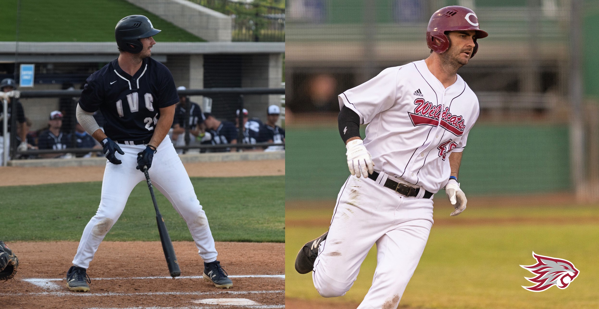 Alumni Report: Dobson has another solid season at Chico State