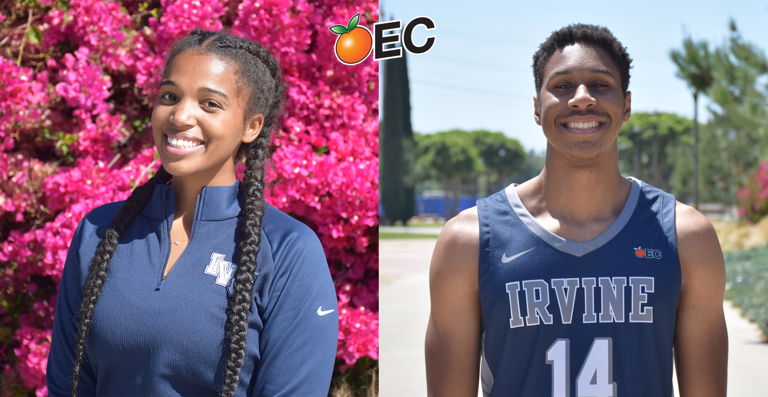 Zsibrita and Strings named IVC's Character Champion winners